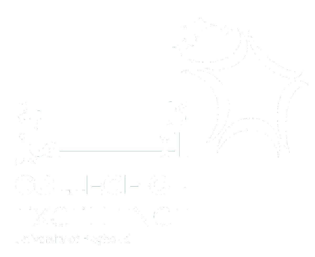 كلية التميز